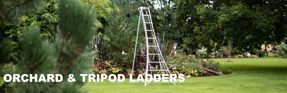 banner_CAT_2024_ladders